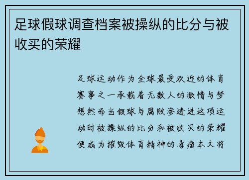 足球假球调查档案被操纵的比分与被收买的荣耀