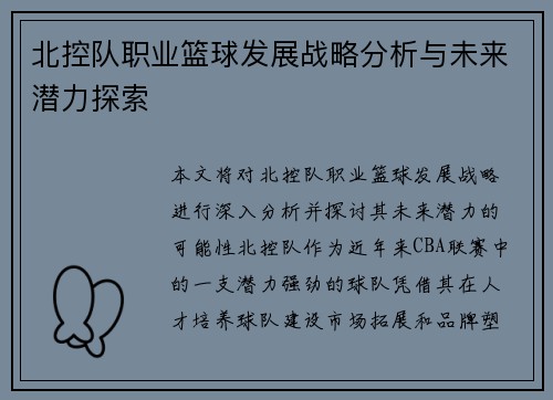北控队职业篮球发展战略分析与未来潜力探索